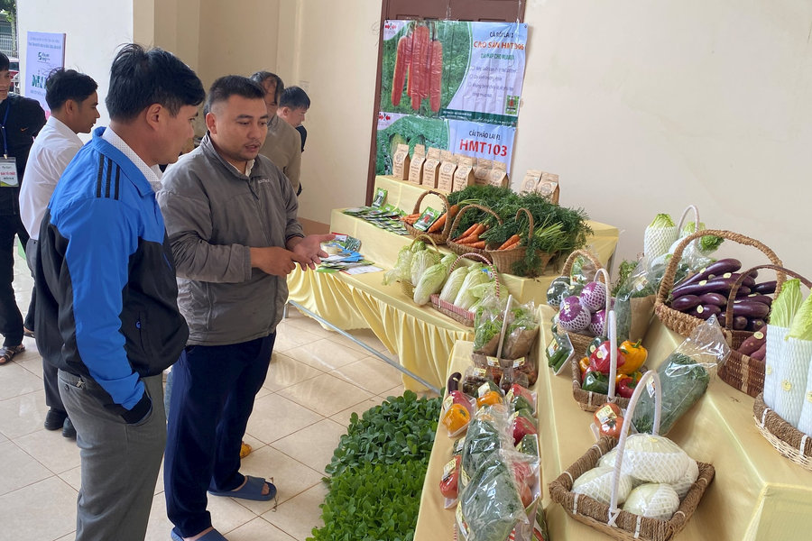 Phát triển hệ thống GIS phục vụ chuyển đổi số