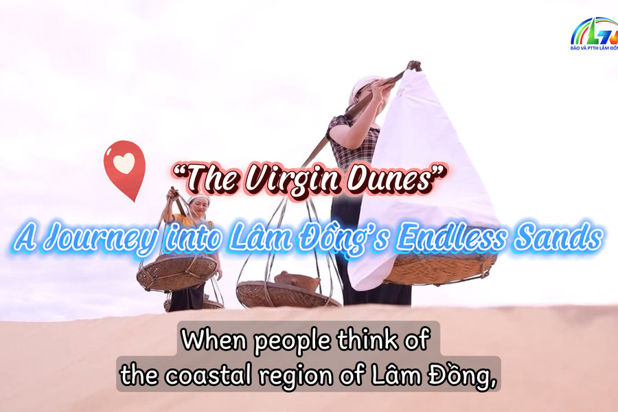 The White Sand Dunes of Hoa Thang – The Virgin Beauty of Lam Dong’s Coast