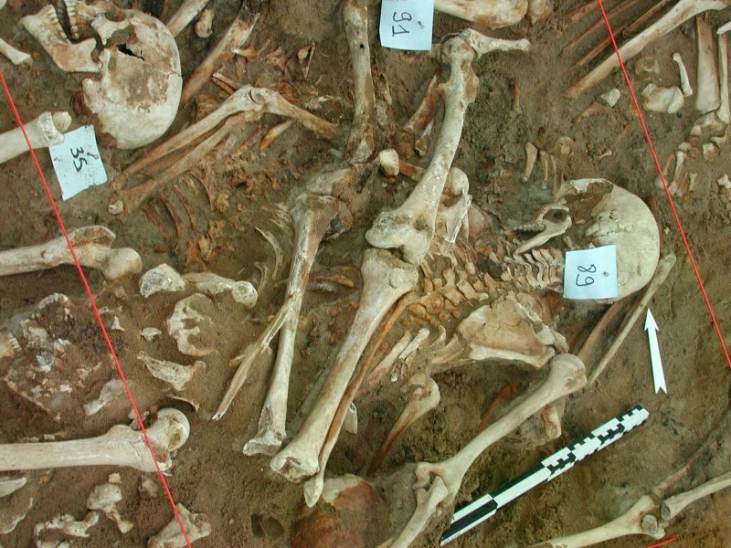 DNA hé lộ nguyên nhân bất ngờ khiến quân đội của Napoleon diệt vong