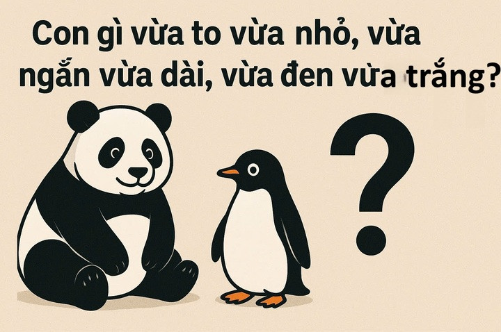 Câu đố tiếng Việt: Con gì vừa to nhỏ, ngắn dài, đen trắng?