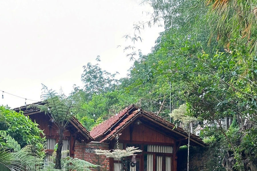 Living Slowly Amid Nature