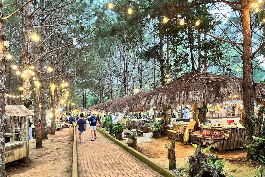Discovering the Forest Market Under the Pine Canopies of Mang Den