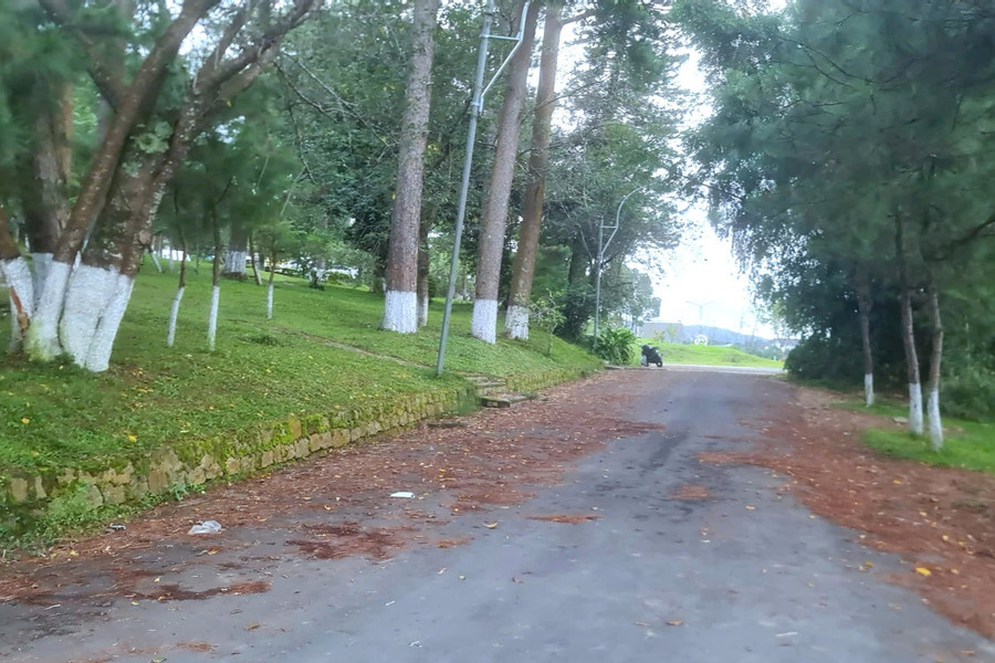Đô thị du lịch không thể chỉ có “cây xanh, ghế đá”