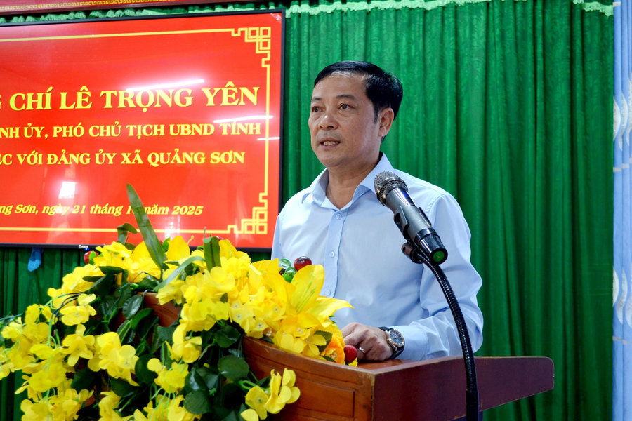 Một số giải pháp “siết” quản lý rừng ở Quảng Sơn