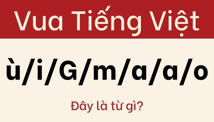 Giải đố tiếng Việt: Sắp xếp ù/i/G/m/a/a/o thành từ có nghĩa
