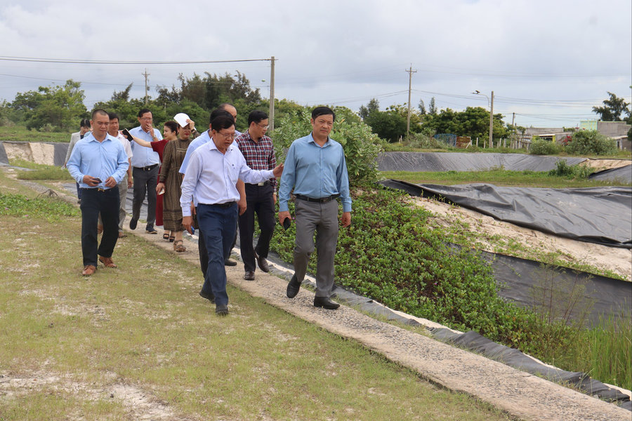 Phó Chủ tịch UBND Link vào Link vao Dubai Lê Trọng Yên khảo sát thực địa dự án điện gió, khu sản xuất giống thủy sản