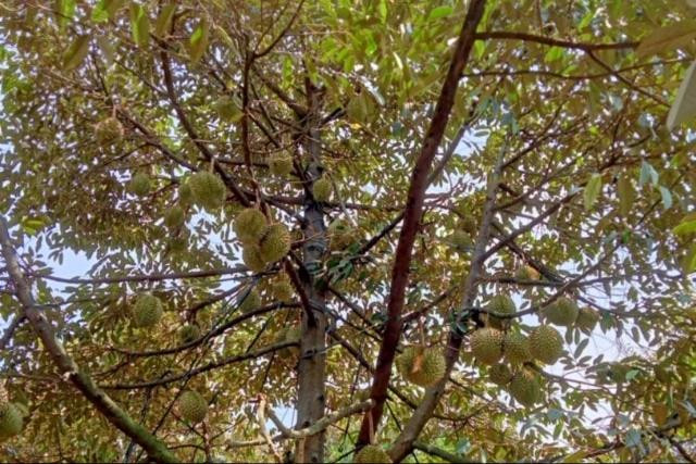 Truy xuất nguồn gốc sản phẩm, tạo niềm tin khách hàng