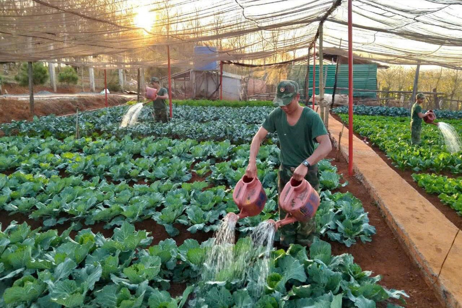 Hậu cần đi trước một bước