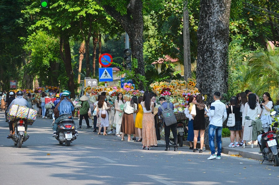 Đường Hoàng Diệu: Dạo bước giữa lịch sử và những hàng cây