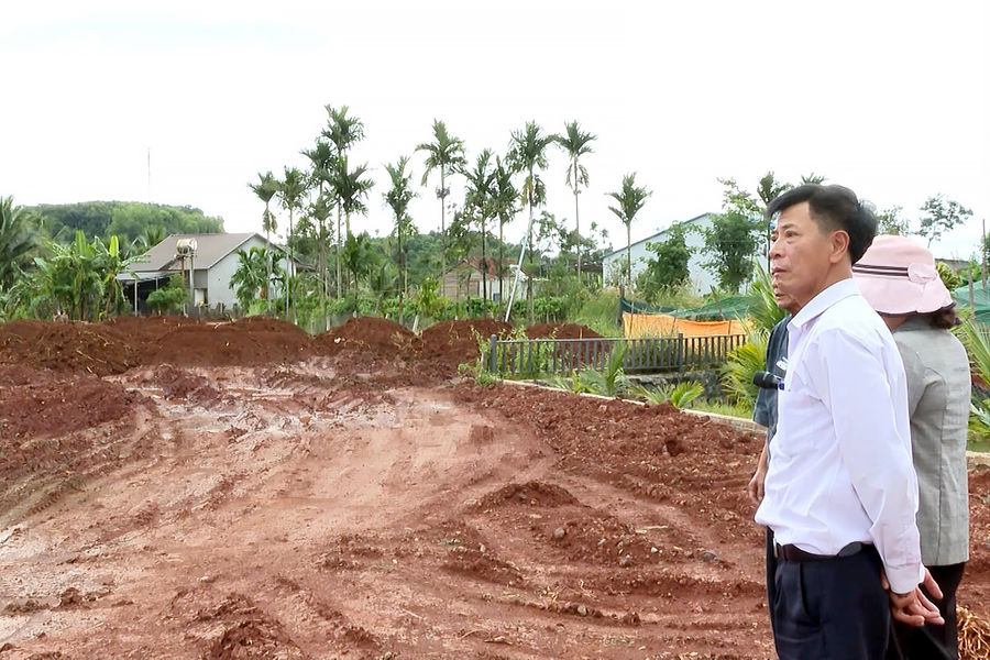 Hệ lụy từ việc tự ý san lấp đất ruộng