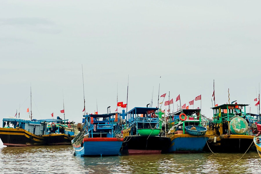 Triển khai hệ thống nhật ký khai thác thủy sản điện tử