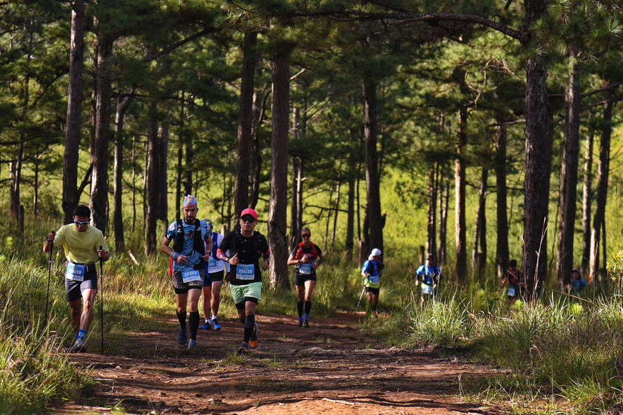 Dừng tổ chức Giải chạy địa hình Lâm Đồng Trail - 2025 do ảnh hưởng bão Kalmaegi