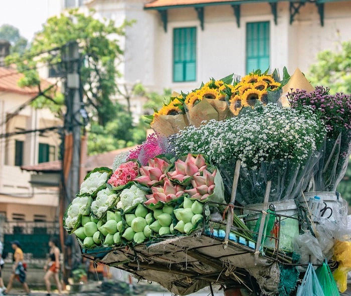 Hà Nội tháng 11: Trải nghiệm mùa thu lãng mạn nhất năm