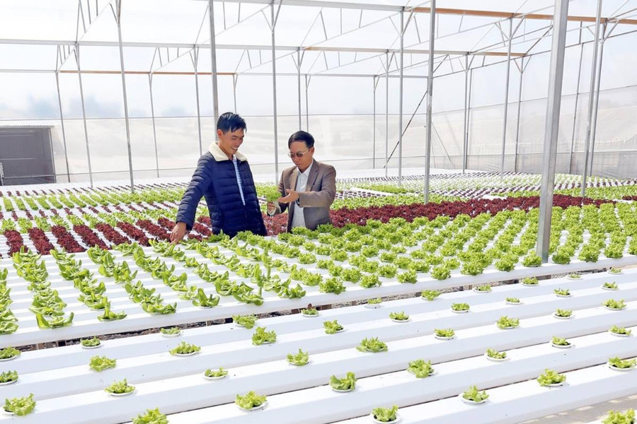 Ngành nông nghiệp Lâm Đồng rộng mở cơ hội phát triển