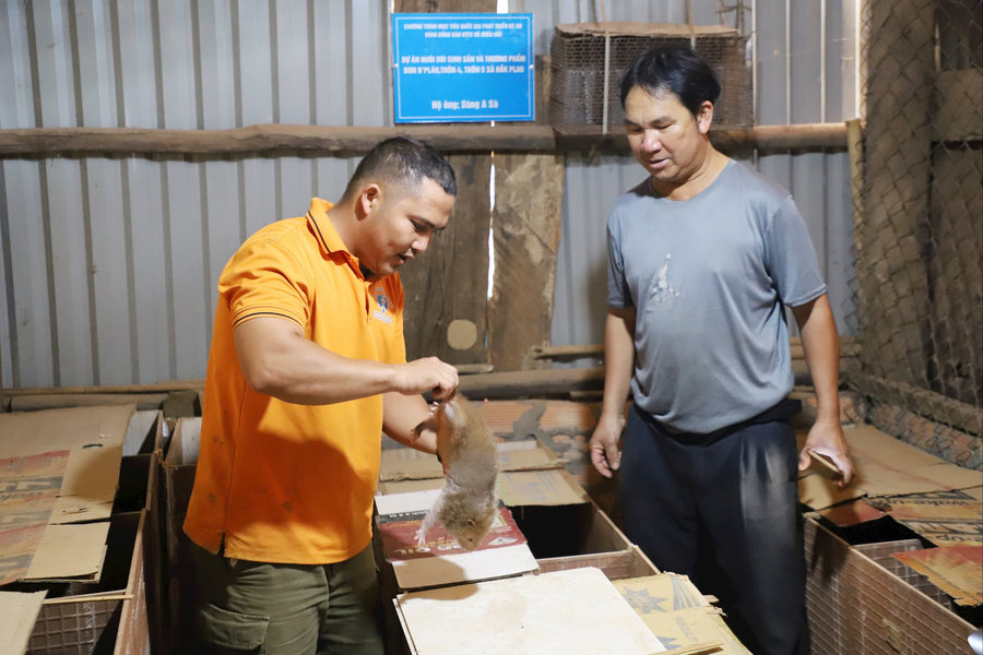 Những “chuyên gia gỡ rối” ở bon làng