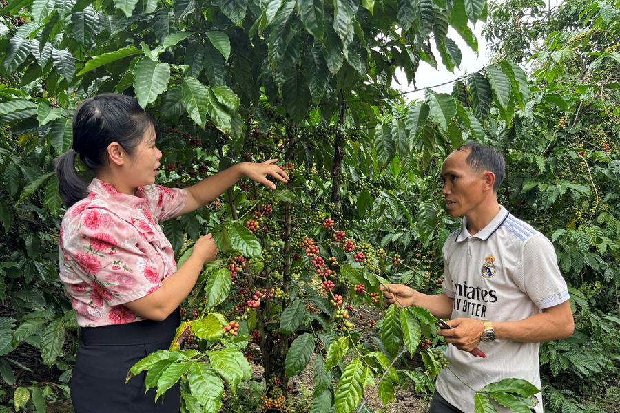 Ðồng bào thôn Ða Tế đoàn kết, hòa thuận vượt qua đói nghèo
