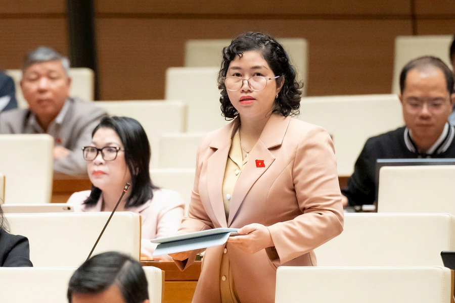 Đoàn ĐBQH tỉnh Lâm Đồng kiến nghị hoàn thiện khung pháp lý để bảo vệ quyền lợi người tham gia bảo hiểm