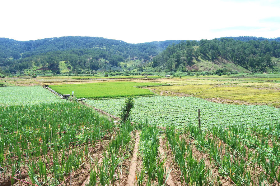 Bảo toàn và phát triển nguồn vốn Quỹ Phát triển đất