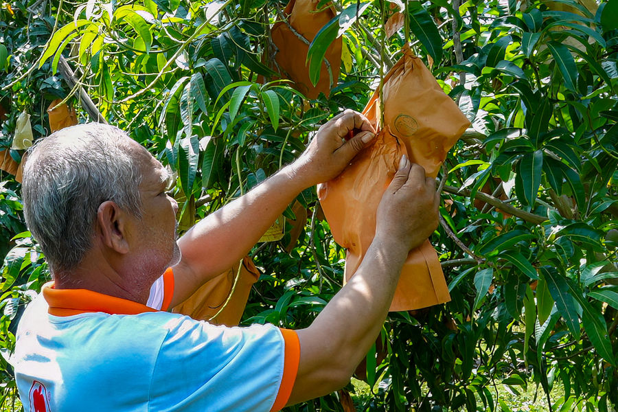 Sông Lũy chuyển mình mạnh mẽ từ nền tảng nông nghiệp