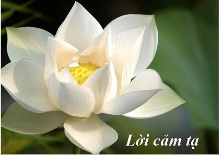 Đại gia đình ông Nguyễn Ngọc Mỹ trân trọng gửi lời cảm tạ