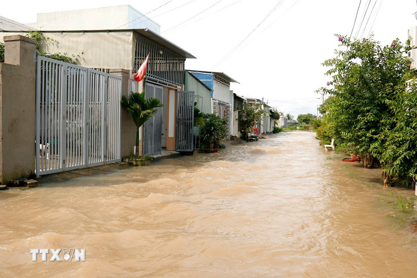 Thời tiết ngày 20/11: Mưa lớn ở khu vực từ Đà Nẵng đến Lâm Đồng
