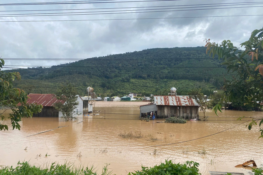 Hơn 500 ha rau màu bị ngập úng do mưa lũ