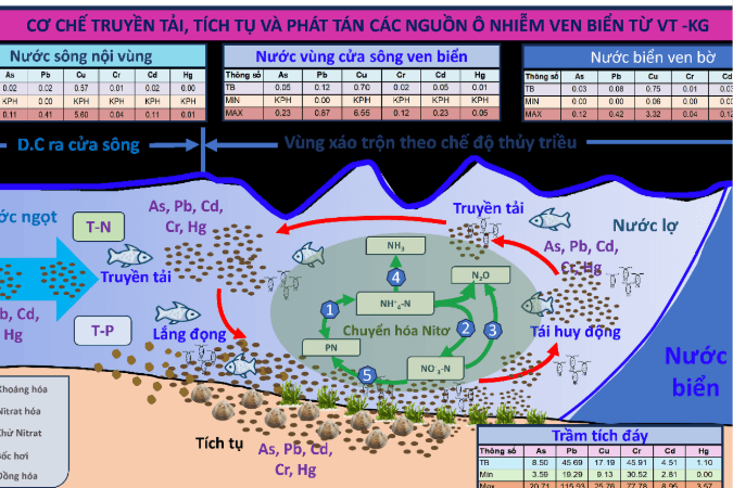 Giải mã bài toán ô nhiễm ven biển Nam Bộ