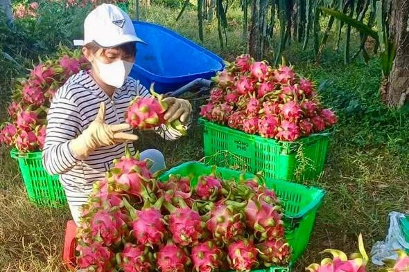 Hải Ninh vun đắp đời sống đồng bào dân tộc thiểu số