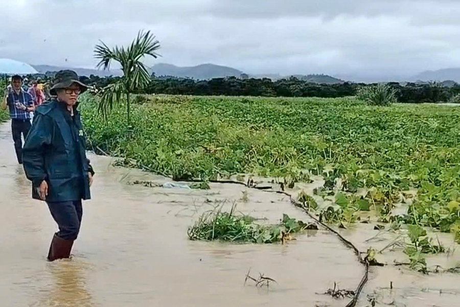 Nông dân phục hồi sản xuất sau lũ