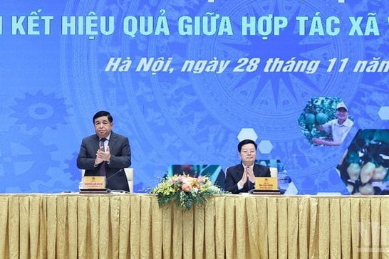 Kinh tế tập thể cần đột phá từ liên hiệu quả giữa hợp tác xã và doanh nghiệp