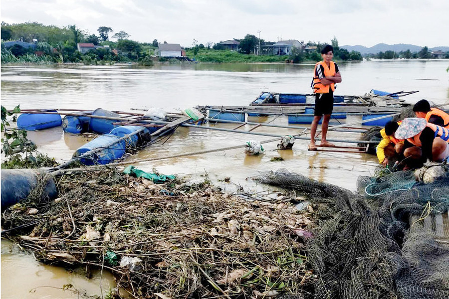 Lo sinh kế cho dân sau mưa lũ