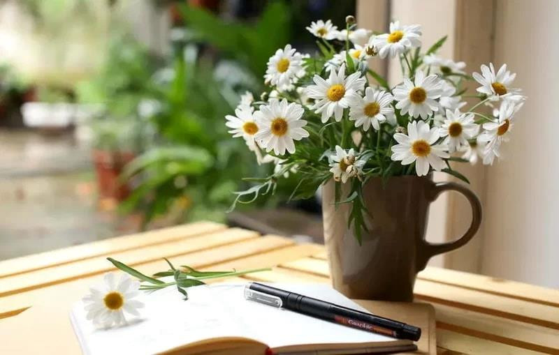 Tháng 11 - Mùa của sự dịu êm