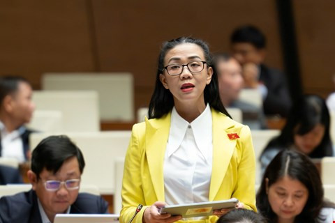 ĐBQH Lâm Đồng đề nghị điều chỉnh quy hoạch khoáng sản, gỡ khó cho các địa phương