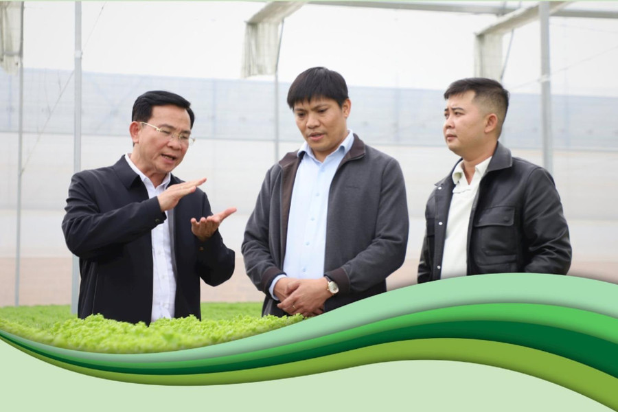 Chiều nay 2/12, Chủ tịch UBND tỉnh Lâm Đồng sẽ đối thoại với nông dân