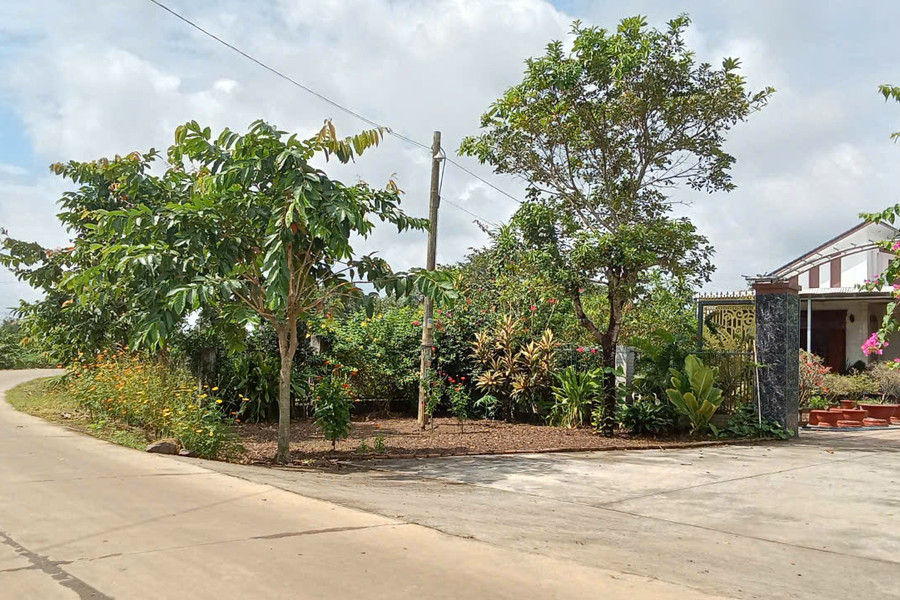 Khi Trà Tân có thêm công nghiệp