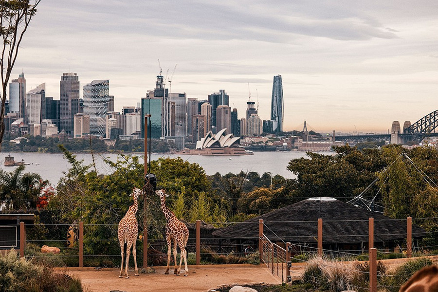 Sydney: 7 trải nghiệm từ bến cảng đến dãy núi Blue Mountains