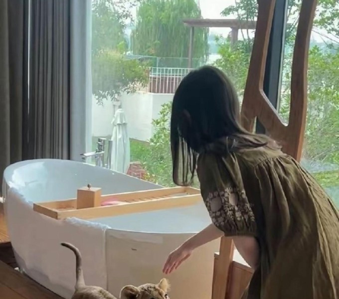 Resort Trung Quốc: Trải nghiệm thức giấc cùng sư tử con