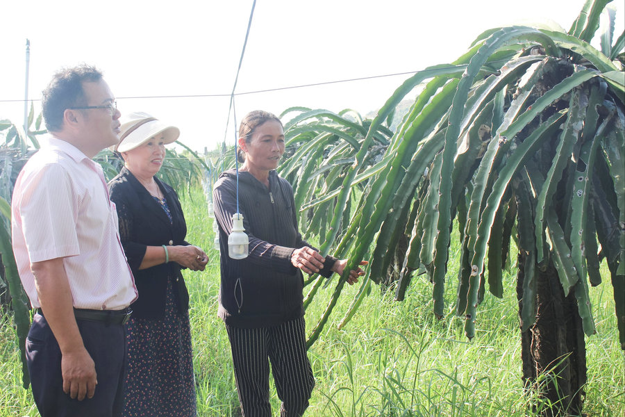 Tiếp sức phụ nữ Hàm Tân làm kinh tế