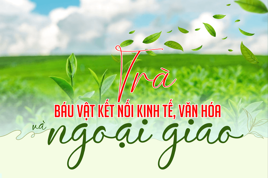 Trà - Báu vật kết nối kinh tế, văn hóa và ngoại giao
