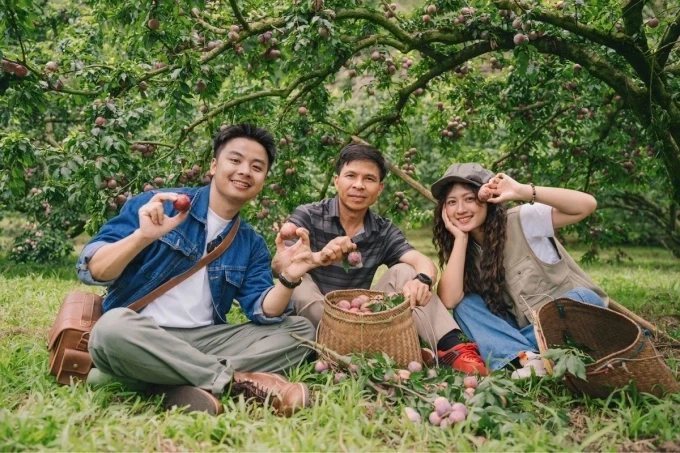 Du lịch nông sản: 5 mùa thu hoạch độc đáo khắp Việt Nam