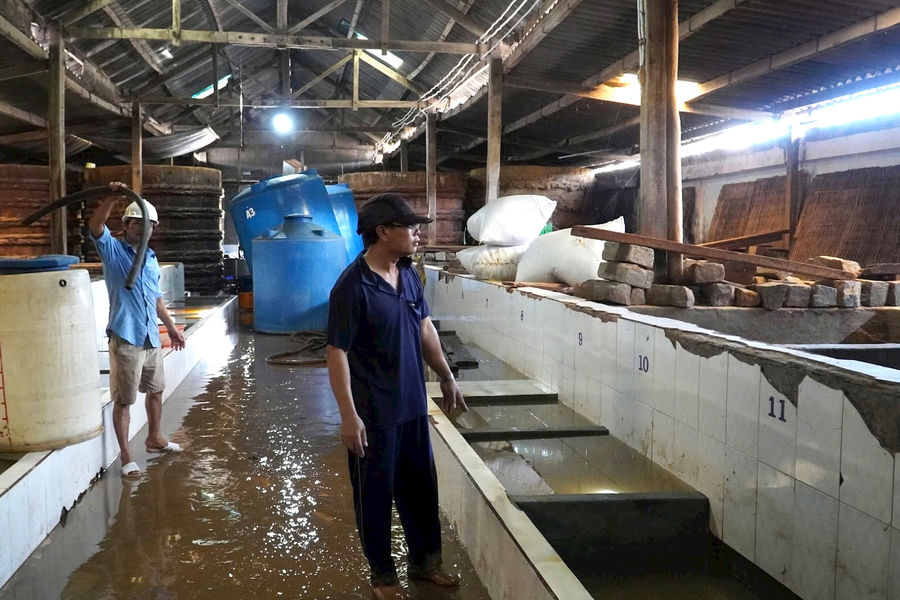 “Thủ phủ” nước mắm hối hả khôi phục sau lũ