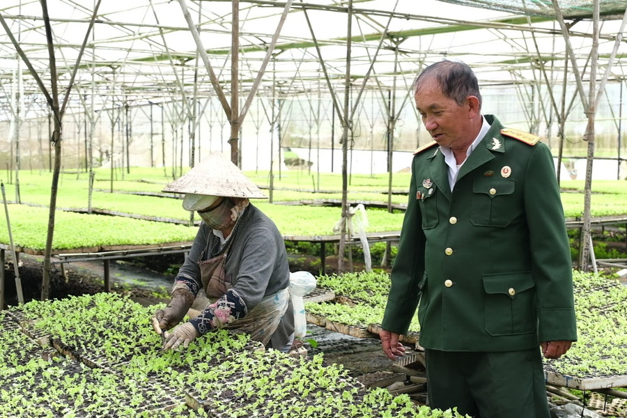 Định vị thương hiệu kinh tế cựu chiến binh Lâm Đồng