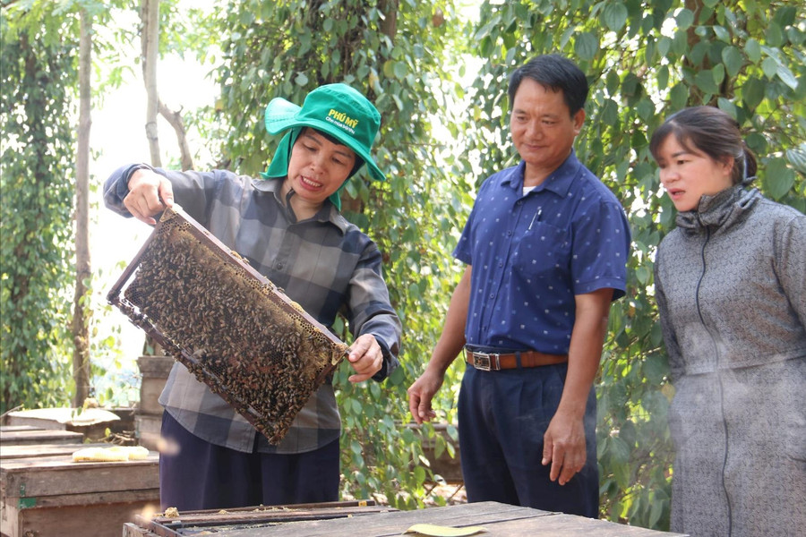 Đắk Mil đổi thay trên hành trình xây dựng nông thôn mới