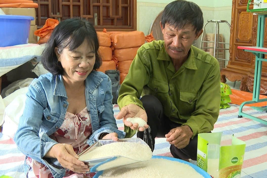 Sản phẩm OCOP góp phần nâng cao thu nhập, xây dựng nông thôn mới theo chiều sâu