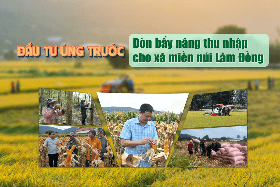 Đầu tư ứng trước - Đòn bẩy nâng thu nhập cho xã miền núi Lâm Đồng