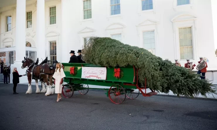 Washington D.C.: Trải nghiệm Giáng sinh tại Nhà Trắng năm 2025