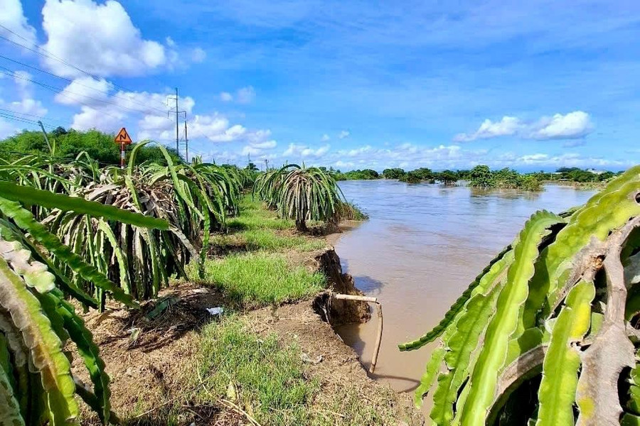 Cấp bách phòng, chống lũ quét, sạt lở đất ven sông Lũy