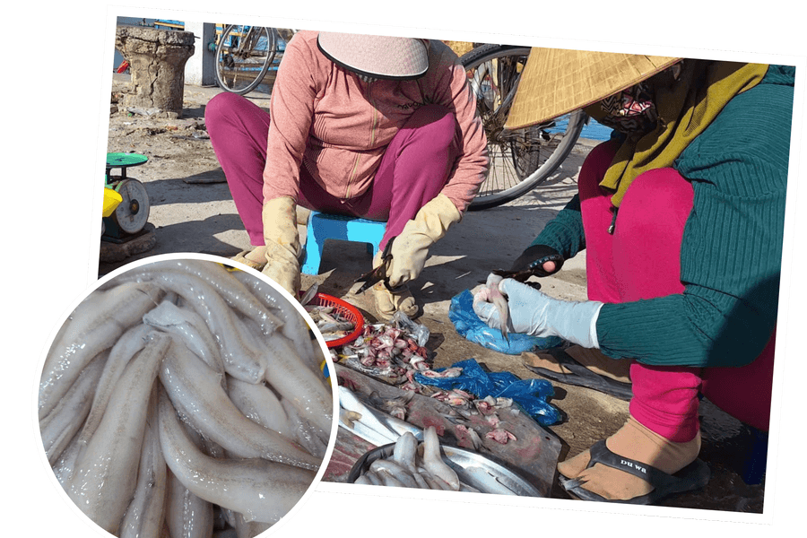 Cá khoai - món ngon dân dã trước nỗi lo tẩm hóa chất