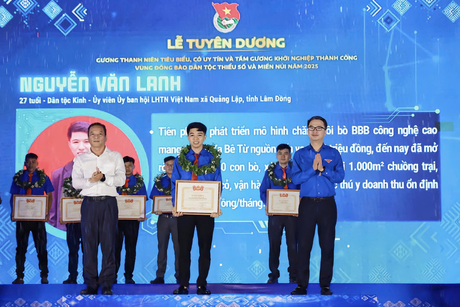 Mô hình nuôi bò hữu cơ: Khi tri thức tạo nên giá trị bền vững