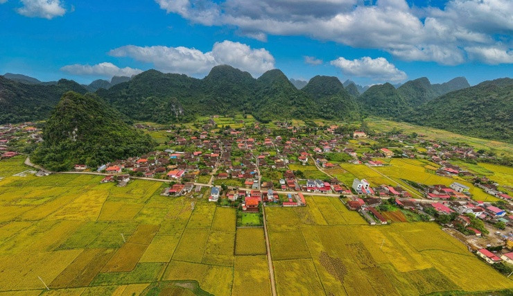 Thái Hải và Quỳnh Sơn: Hai làng du lịch tốt nhất thế giới gần Hà Nội cho kỳ nghỉ Tết